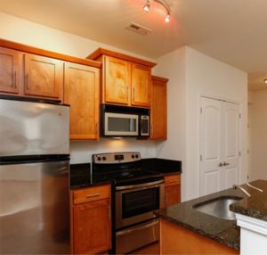 Ginkgo Residential | Matthew Lofts
